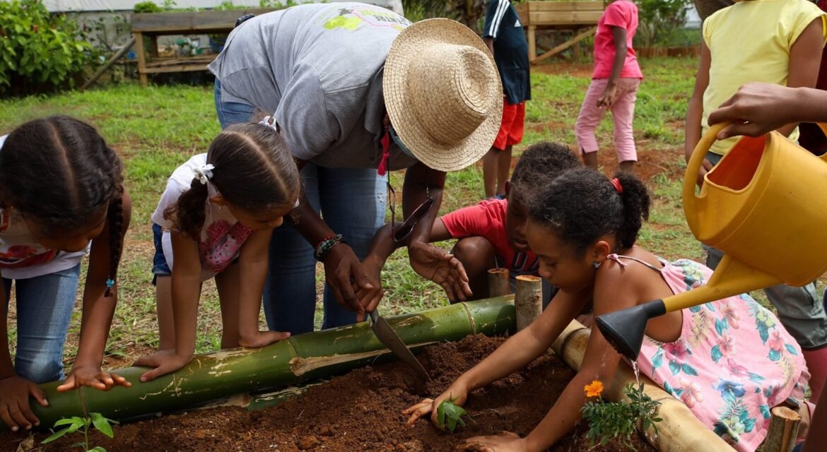 Découvrez Ferme Eco - LPFE ( La Ptite Ferme Eco) , 1ère ferme agricole socio-pédagogique de la Martinique. Centre en nature, Centre de loisirs, Nature Ludique, Vendredis Séniors, ...