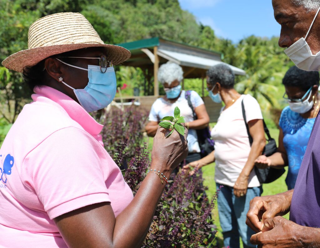Pole LPFE : Ferme Eco - La Ptite Ferme Eco, 1ère ferme agricole socio-pédagogique de la Martinique. Centre en nature, Centre de loisirs, Nature Ludique, Vendredis Séniors, ...